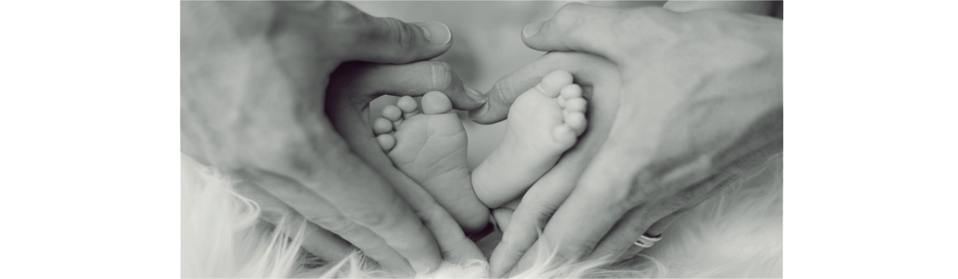 Dr. Guillermo Durruty