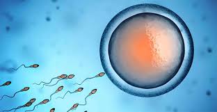 24 Tarde
Guillermo Durruty, Gineco-obstetra clínica Monteblanco